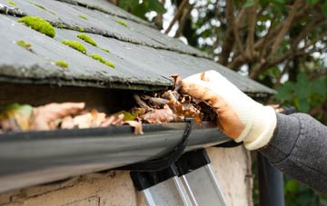 gutter cleaning Hales